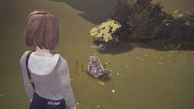 Photo #3 - Photos - Life is Strange - Game Guide and Walkthrough