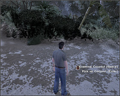 This area of the beach contains several interactive objects - Force Majeure III - 1x01 - Force Majeure - Lost: Via Domus - Game Guide and Walkthrough