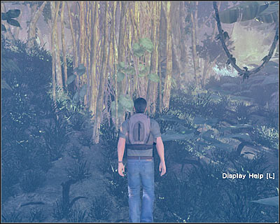 Thankfully, you shouldn't have any problems navigating through the jungle - A New Day III - 1x02 - A New Day - Lost: Via Domus - Game Guide and Walkthrough
