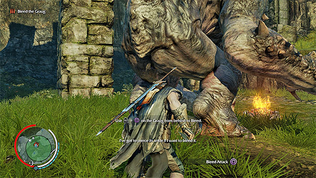 The process of defeating the graug comprises several steps, where each of the steps is thoroughly explained by your ally (and in this walkthrough also :)) - 15: Hunting Partners - Main missions - Middle-earth: Shadow of Mordor - Game Guide and Walkthrough