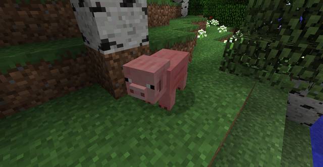 Pig - Animals - Mobs - creatures of the world - Minecraft - Game Guide and Walkthrough