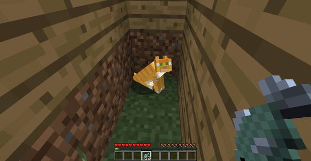 The cat - How to tame a dog/cat - General hints - Minecraft - Game Guide and Walkthrough