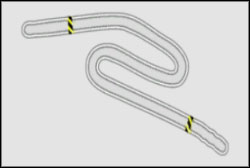 Drift: Drift Track C - Ebisu - React Team Session - Need For Speed: ProStreet - Game Guide and Walkthrough