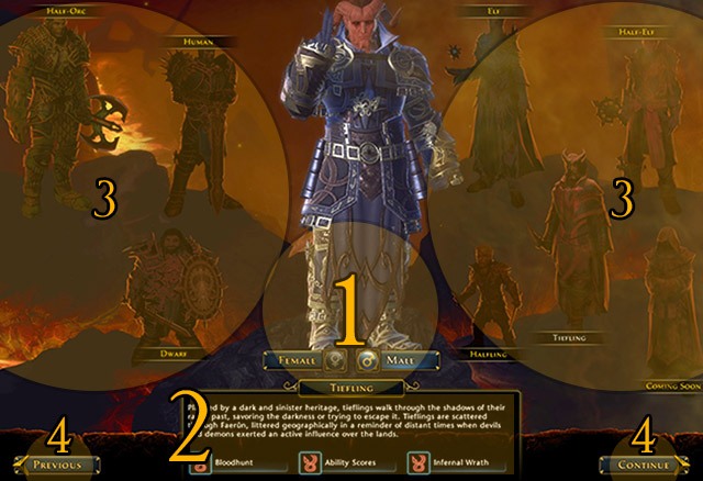 1: Gender selection and character preview (gender choice is purely cosmetic, does not affect the statistics or the gameplay) - Character creation - First steps - Neverwinter - Game Guide and Walkthrough