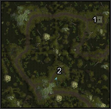 The swamp itself is a simple level where you have to reach the ruins (1) - Ruins of the Past - West Harbor - Neverwinter Nights 2 - Game Guide and Walkthrough