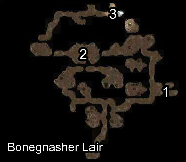 There's not much to be found on this level - Bonegnasher Clan - Old Owl Well - Neverwinter Nights 2 - Game Guide and Walkthrough