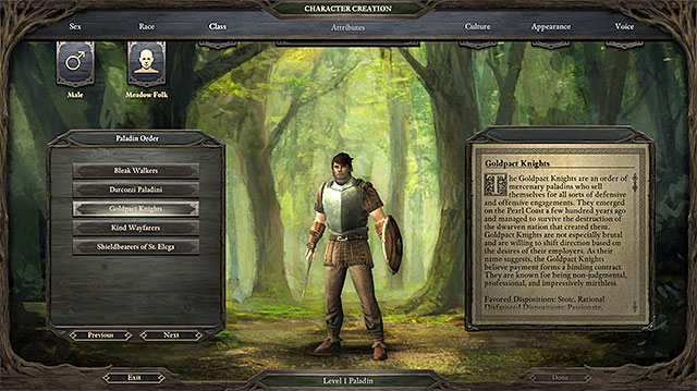 Order is not a factor on which you should build your character - Paladin - Character classes - Pillars of Eternity - Game Guide and Walkthrough