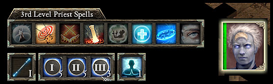 Priest, in addition to spells, has a special aura that has large working radius and constantly heals his allies a little bit. - Priest - Character classes - Pillars of Eternity - Game Guide and Walkthrough