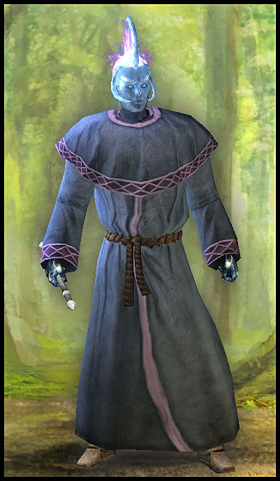 Priest is a magic class focused on spells supporting and weakening, he has no offensive ones - Priest - Character classes - Pillars of Eternity - Game Guide and Walkthrough