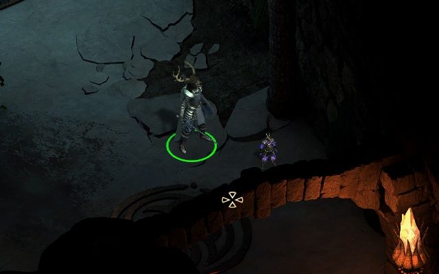 In the Animats Room, you will find the Tiny Animat, who is going to follow you during the game. - Cliaban Rilag Ruins M33 - Cliaban Rilag M32 - Pillars of Eternity - Game Guide and Walkthrough