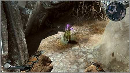 A flower can be found behind the rocks, to the left from the gate - Comet Bloom - Side missions - Rage - Game Guide and Walkthrough