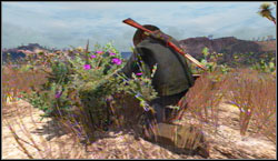 Target: Collect 6x Desert Sage, search for them near Gaptooth Ridge - Challenges - Survivalist - Challenges - Red Dead Redemption - Game Guide and Walkthrough