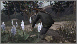 Target: Collect 10x Hummingbird Sage, search for them near Tall Trees - Challenges - Survivalist - Challenges - Red Dead Redemption - Game Guide and Walkthrough