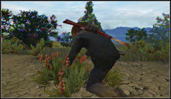 Target: Collect 4x Red Sage, search for them near Rio Bravo - Challenges - Survivalist - Challenges - Red Dead Redemption - Game Guide and Walkthrough