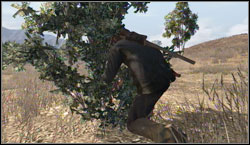 Target: Collect 15x Golden Currant, search for them near Great Plains - Challenges - Survivalist - Challenges - Red Dead Redemption - Game Guide and Walkthrough