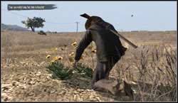 Target: Collect 12x Prairie Poppy, search for them near Great Plains - Challenges - Survivalist - Challenges - Red Dead Redemption - Game Guide and Walkthrough