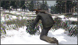 Target: Collect 10x Violet Snowdrop, search for them near Talls Trees - Challenges - Survivalist - Challenges - Red Dead Redemption - Game Guide and Walkthrough