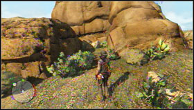 When you will be at your destination, seek for the treasure near the huge rock - Challenges - Treasure Hunter - Challenges - Red Dead Redemption - Game Guide and Walkthrough