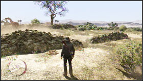Find a tree with skulls and then get close to the river - Challenges - Treasure Hunter - Challenges - Red Dead Redemption - Game Guide and Walkthrough