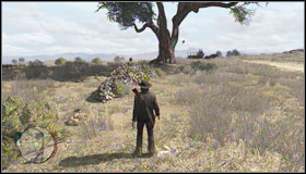 Treasure is hidden near the tree, just between two walls - Challenges - Treasure Hunter - Challenges - Red Dead Redemption - Game Guide and Walkthrough