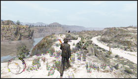 Sit as a passenger and ride with Luisa - Walkthrough - Northern Mexico - [L] Luisa Fortuna - Walkthrough - Northern Mexico - Red Dead Redemption - Game Guide and Walkthrough