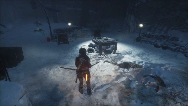 On your way to the cave with the bear - Documents - Siberian Wilderness - Rise of the Tomb Raider - Game Guide and Walkthrough