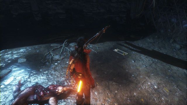 On the ground, in the cave where a bear lurked - Documents - Siberian Wilderness - Rise of the Tomb Raider - Game Guide and Walkthrough