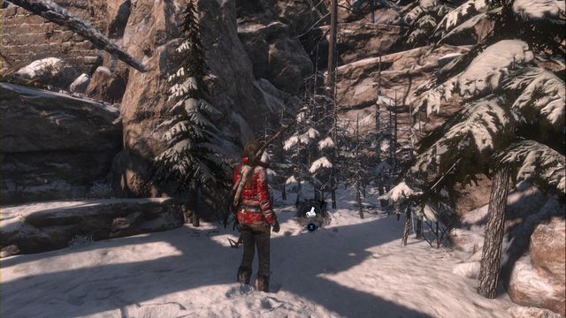 Under the fallen tree, among the small trees - Challenges and chests - Siberian Wilderness - Rise of the Tomb Raider - Game Guide and Walkthrough
