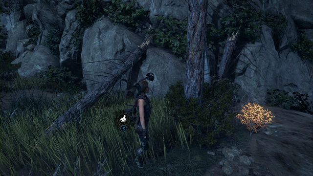 By the fallen tree to the right of the cave entrance - Survival caches - Geothermal Valley - Rise of the Tomb Raider - Game Guide and Walkthrough