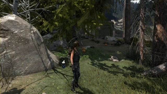 By the rock, behind the field of pumpkins - Survival caches - Geothermal Valley - Rise of the Tomb Raider - Game Guide and Walkthrough