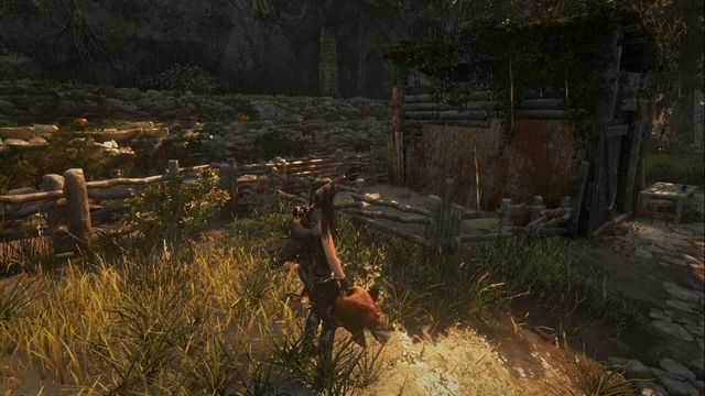 In the valley, close to the Valley Farmstead Base camp there are quite a few chickens running around - Challenges - chickens, dives, targets - Geothermal Valley - Rise of the Tomb Raider - Game Guide and Walkthrough