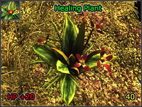 Alchemists can create powerful potions from plants - World Atlas - Alchemy - World Atlas - Skills - Risen - Game Guide and Walkthrough