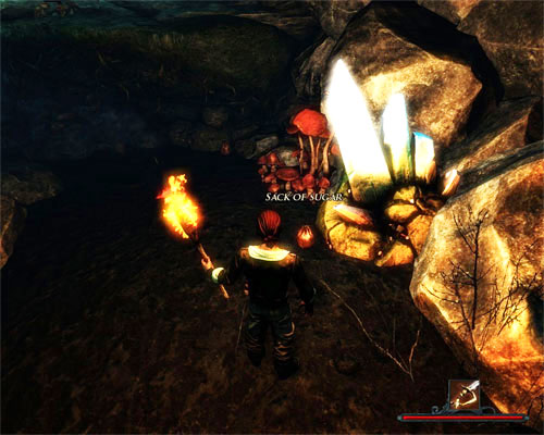 Use the torch to help you find the sacks. - The Sugar Shipment - Tacarigua - Quests - Risen 2: Dark Waters - Game Guide and Walkthrough