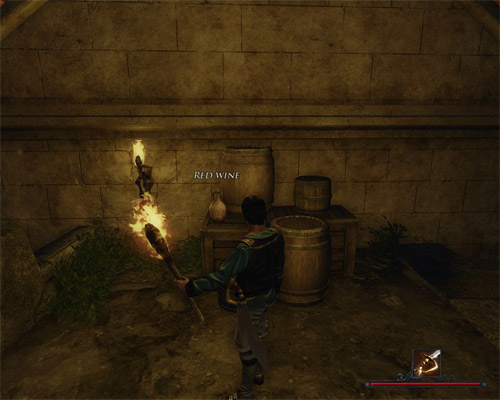 The bottles of wine lay in some really strange places. - Red Wine - The Sword Coast - Quests - Risen 2: Dark Waters - Game Guide and Walkthrough