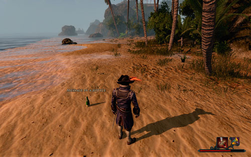 The bottle stands out. - The Treasure in the Cave - The Isle of Thieves - Quests - Risen 2: Dark Waters - Game Guide and Walkthrough
