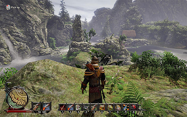 Your task is to locate Taranis Herb (which can be seen on the screenshot presented above) - Herbs and Tinctures - Side Quests - Taranis - Risen 3: Titan Lords - Game Guide and Walkthrough