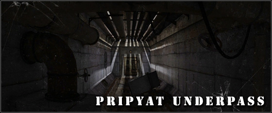 There are lots of enemies waiting for you in the sewers including Tushkans and Snorks - Walkthrough - The road to Pripyat - Walkthrough - S.T.A.L.K.E.R.: Call of Pripyat - Game Guide and Walkthrough