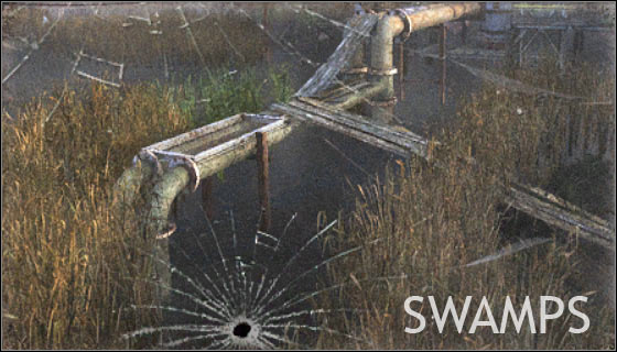 Swamps are one of new levels, added in 