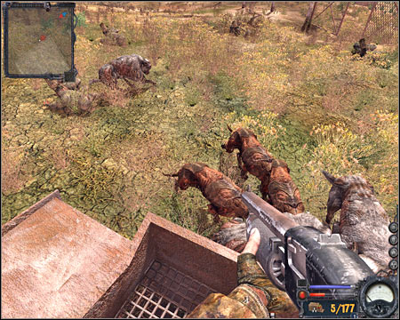 I would recommend that you deal with all animals before moving on to the target area - Yantar - Quests - part 1 - Walkthrough - S.T.A.L.K.E.R.: Clear Sky - Game Guide and Walkthrough