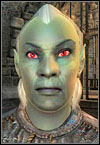 Dark Elf - Races - Character Creation & Development - The Elder Scrolls IV: Oblivion - Game Guide and Walkthrough