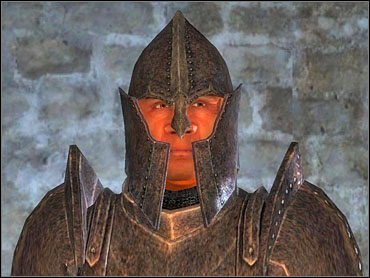 Paying the fine always seems the most reasonable choice - Hints and peculiarities - Other - The Elder Scrolls IV: Oblivion - Game Guide and Walkthrough