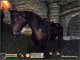 1 - Hints and peculiarities - Other - The Elder Scrolls IV: Oblivion - Game Guide and Walkthrough