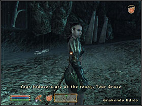 7 - Main Quests part II - Quests - The Elder Scrolls IV: Oblivion - Game Guide and Walkthrough