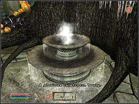 Near one of the pools you'll meet either Thadon or Syl - depending on which one you've already killer when becoming a duke - Main Quests part IV - Quests - The Elder Scrolls IV: Oblivion - Game Guide and Walkthrough