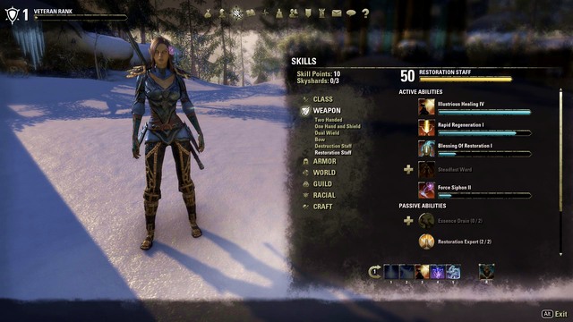 In the first build with the second weapon, it has been specified how to combine, effectively, the inflicted damage with healing of the self and the allies - Sorcerer as the Healer / Support - Sorcerer - The Elder Scrolls Online - Game Guide and Walkthrough