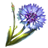 Corn Flower - Materials - Alchemy - The Elder Scrolls Online - Game Guide and Walkthrough