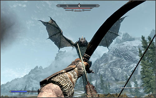 The tactic of fighting the Dragon should of course depend on the specialization of you character - Fighting the Dragon - Dragon Rising - The Elder Scrolls V: Skyrim - Game Guide and Walkthrough