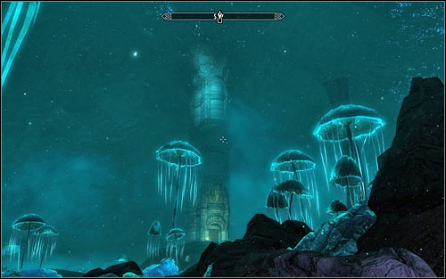 Go round the green sphere from the north and turn south after reaching the western edge of Blackreach - Obtaining the Elder Scroll - Elder Knowledge - The Elder Scrolls V: Skyrim - Game Guide and Walkthrough
