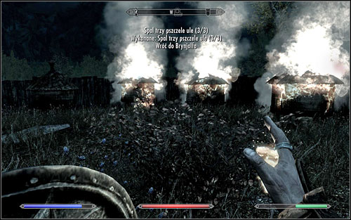 The hives can be set on fire in a few ways - with a bow enchanted with fire, spells or with a torch - Loud and Clear - Thieves Guild quests - The Elder Scrolls V: Skyrim - Game Guide and Walkthrough