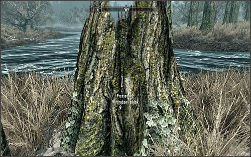 You should start looking for treasures only after you've learned locations of all four hiding places - Miscellaneous: Take the hidden treasure - The Dark Brotherhood quests - The Elder Scrolls V: Skyrim - Game Guide and Walkthrough